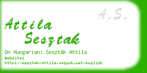 attila sesztak business card